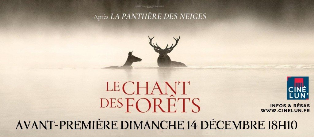 actualité LE CHANT DES FORÊTS